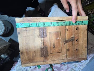 kikkar box for birds