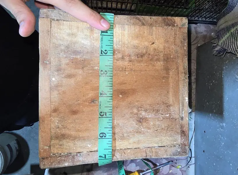 kikkar box for birds — photo 3