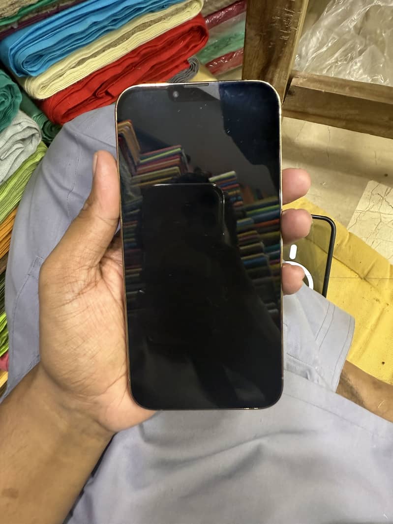 Apple iPhone 13 Pro Max 1