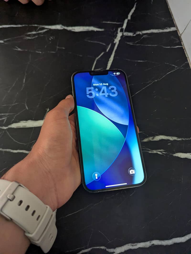 Apple iPhone 13 Pro Max 1