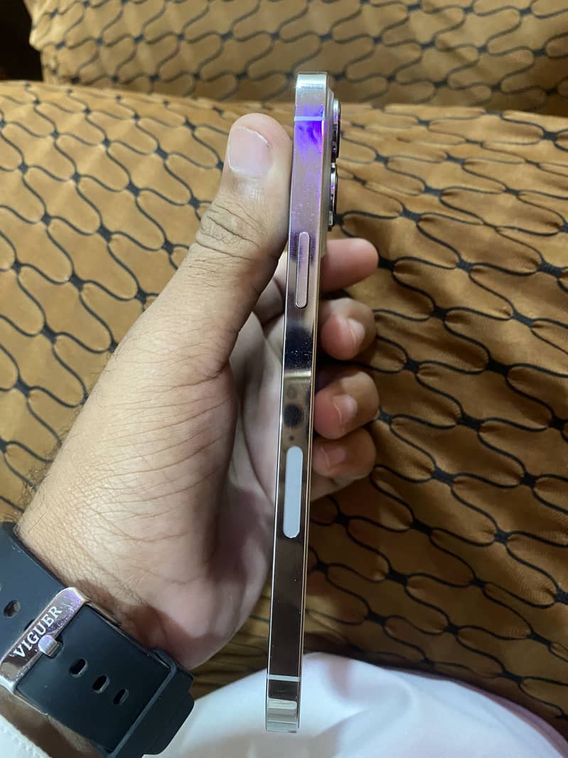 Apple iPhone 13 Pro Max 1