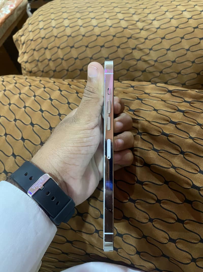 Apple iPhone 13 Pro Max 2