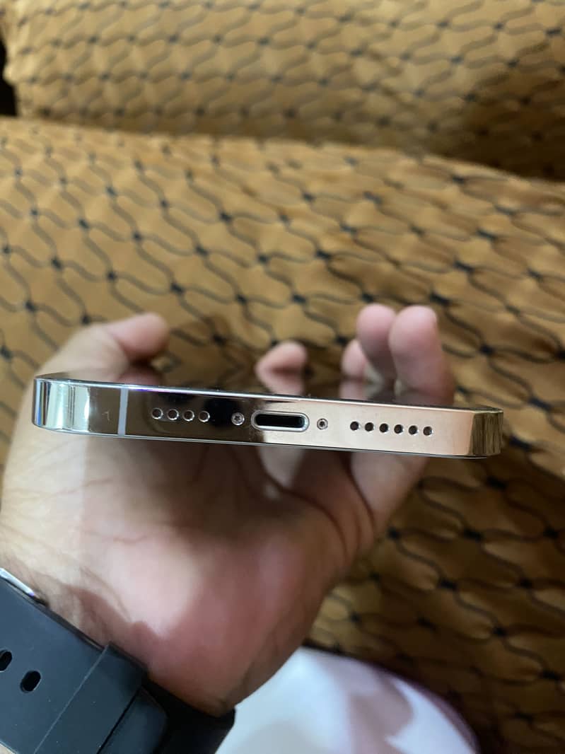 Apple iPhone 13 Pro Max 4