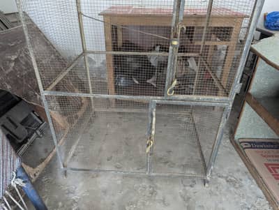 Bird Cage
