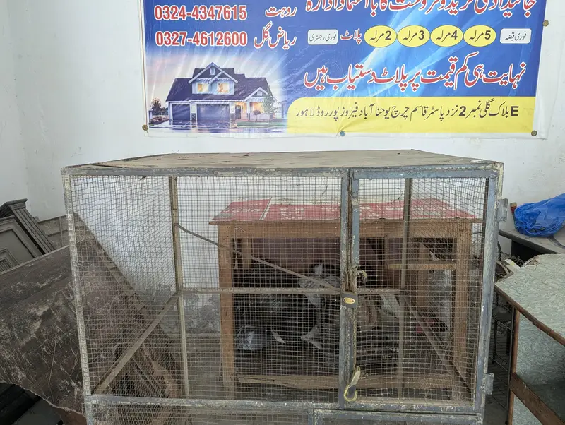 Bird Cage — photo 2