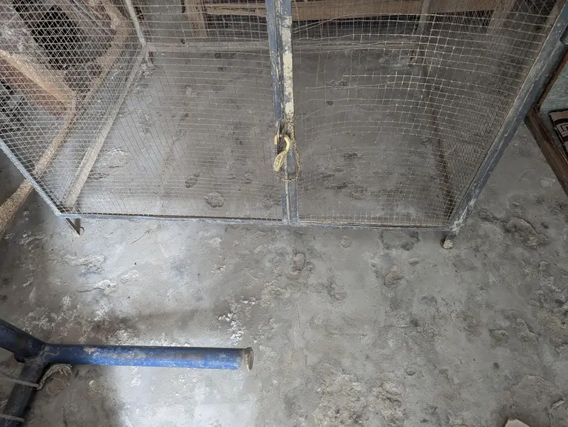Bird Cage — photo 3