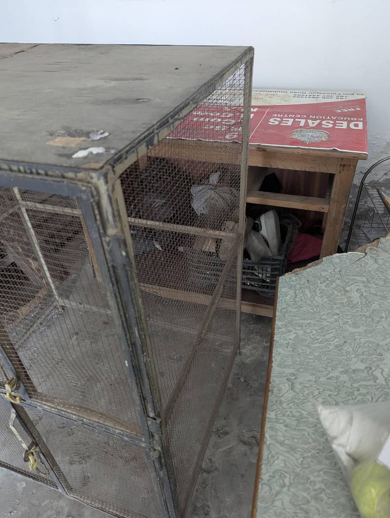 Bird Cage 3