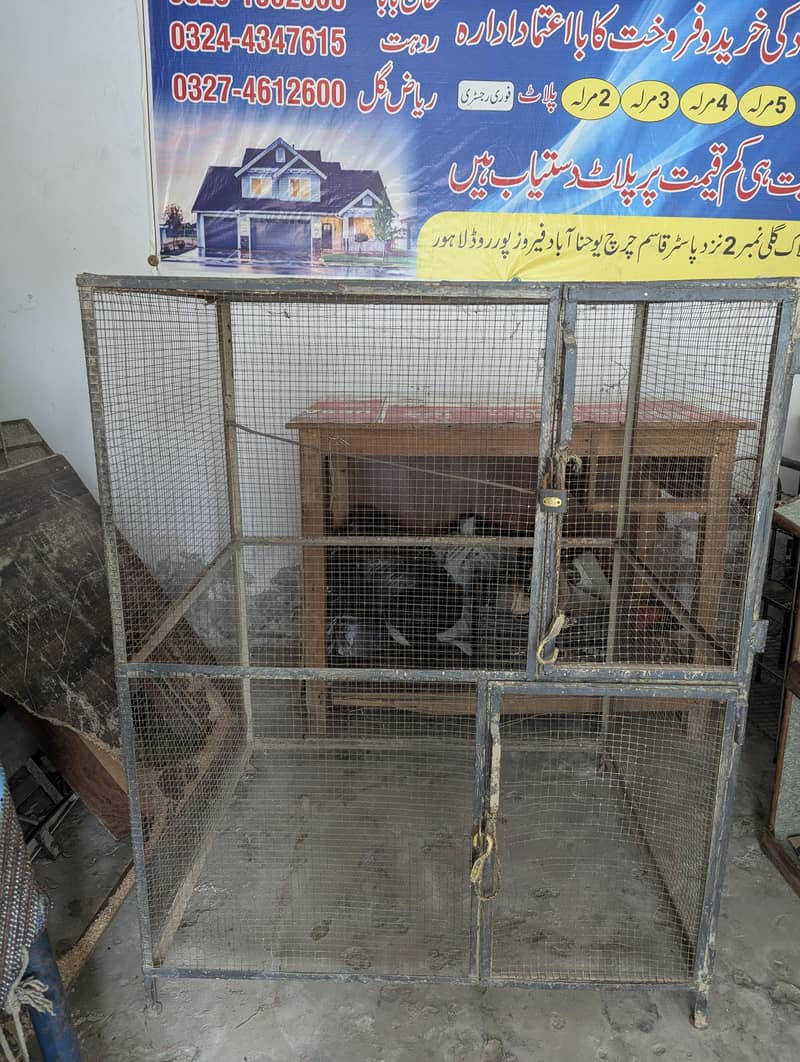 Bird Cage 5