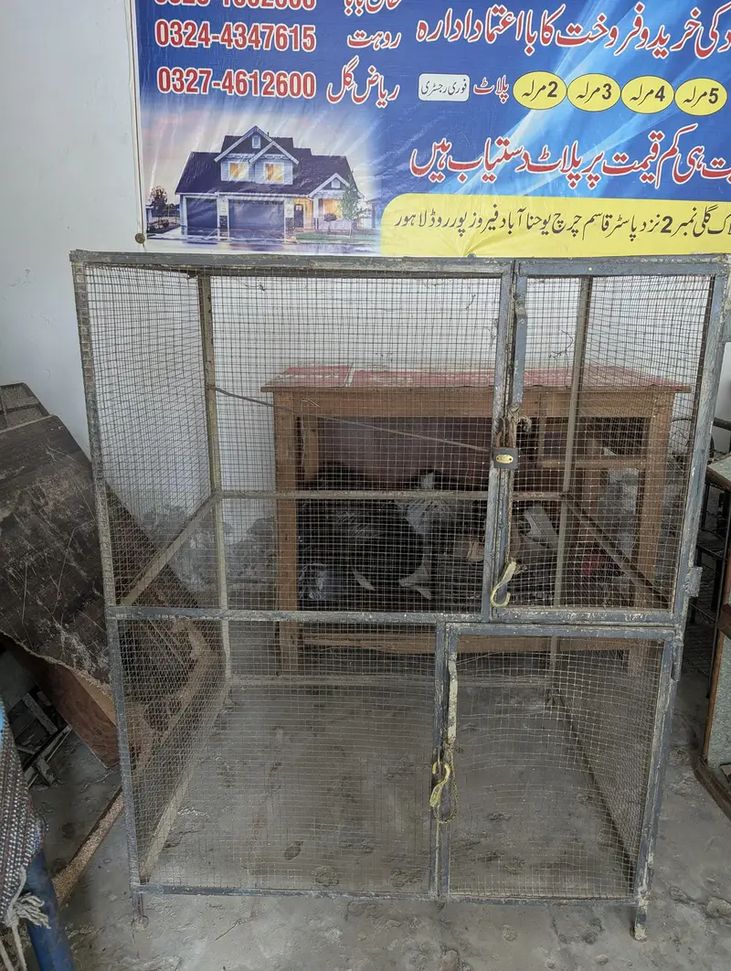 Bird Cage — photo 6