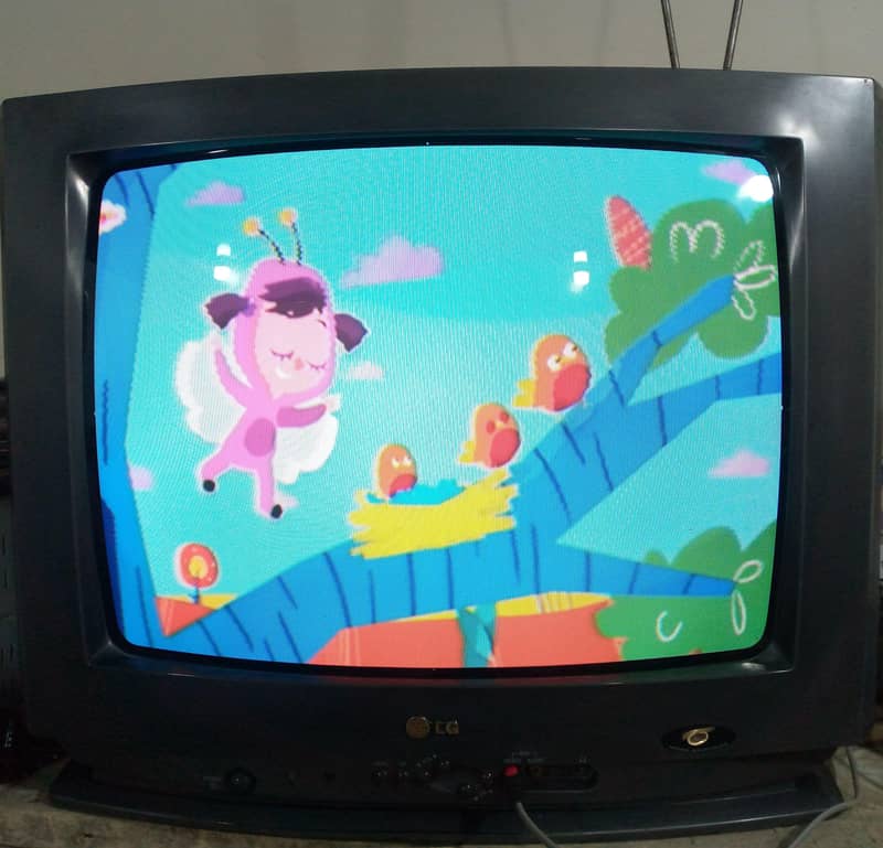 Television 6