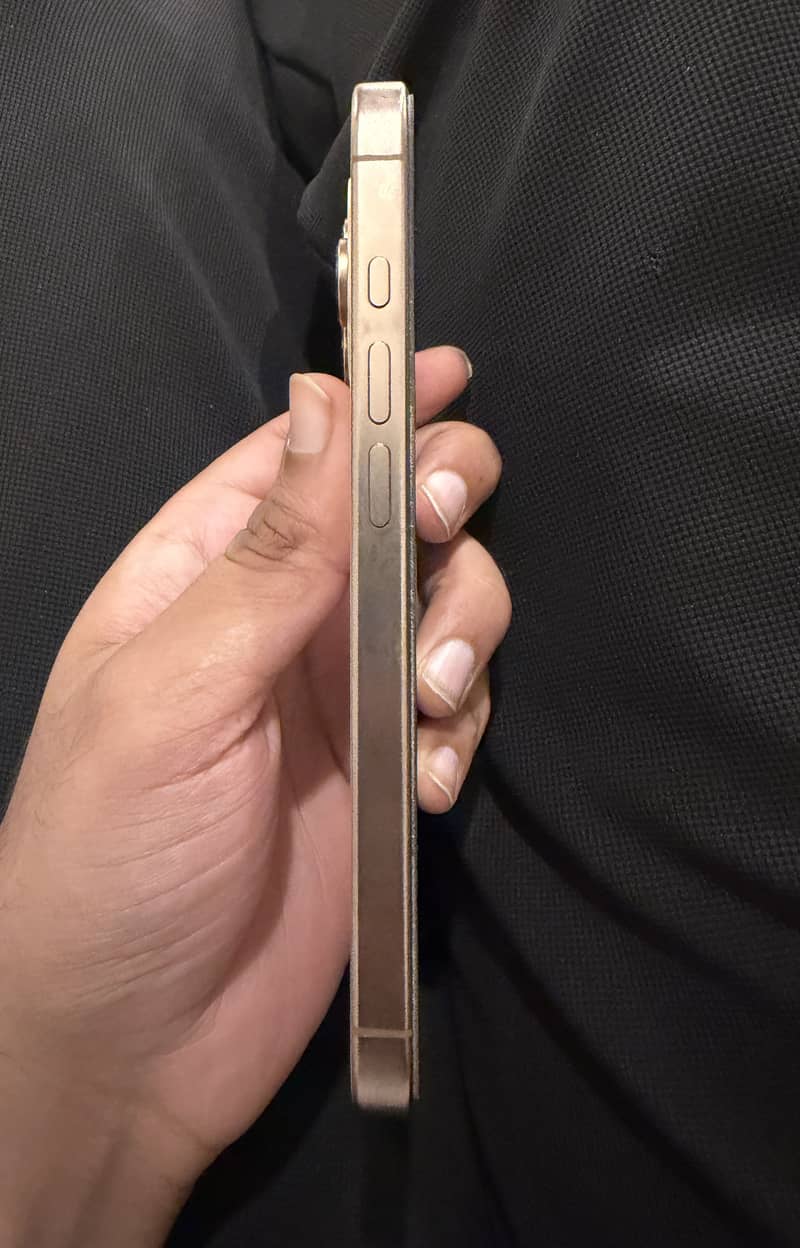 Apple iPhone 16 Pro 3