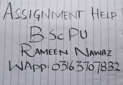 BSu PU- Assignment  Help + Online Maths Tutor
