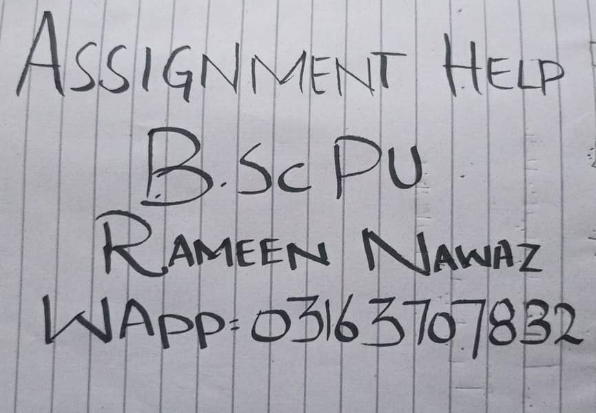 BSu PU- Assignment  Help + Online Maths Tutor 0
