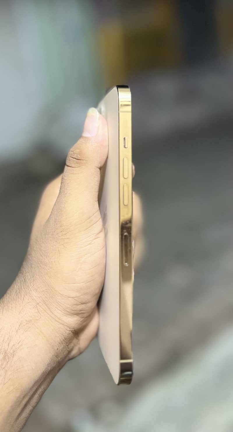 Apple iPhone 12 Pro Max 1