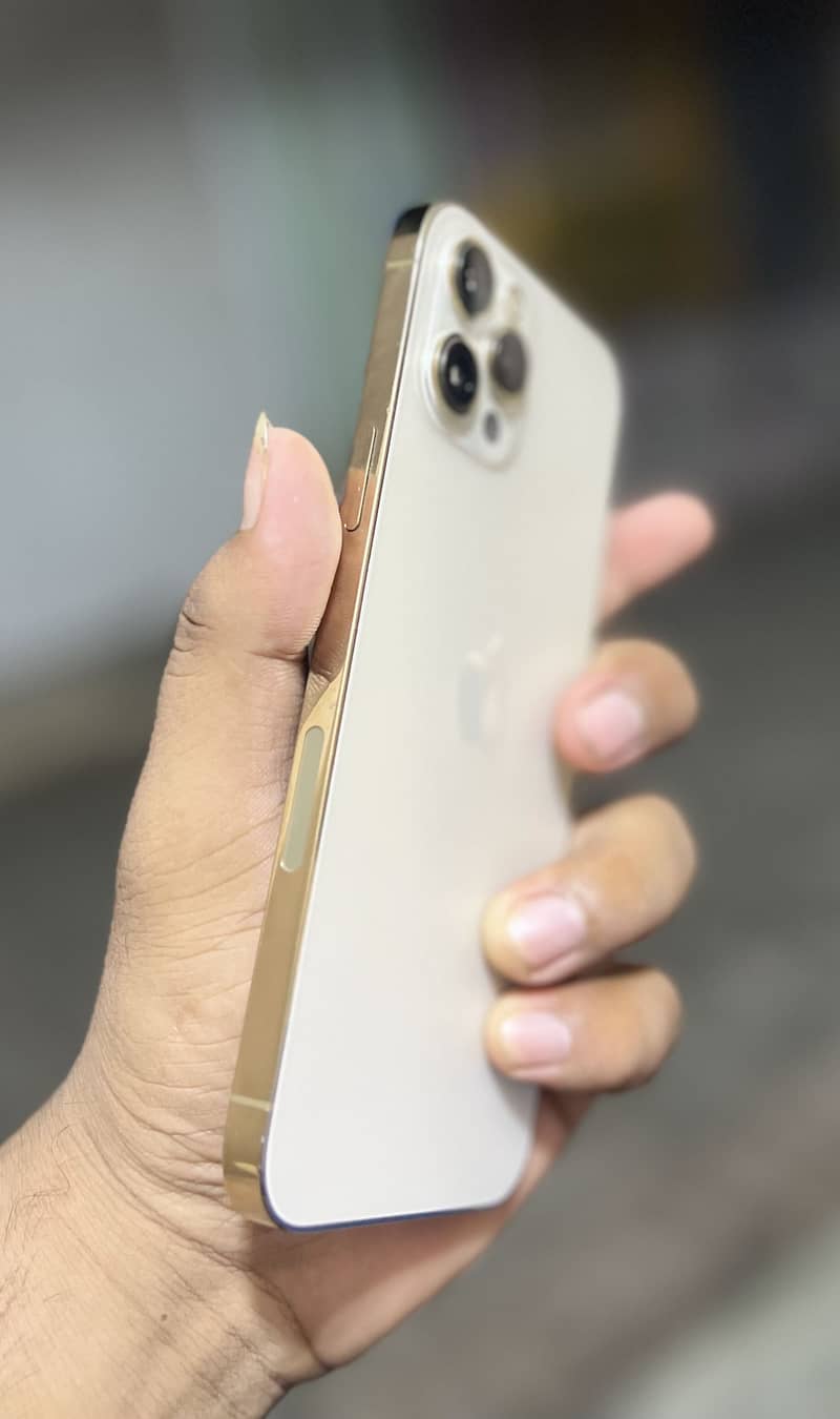 Apple iPhone 12 Pro Max 2
