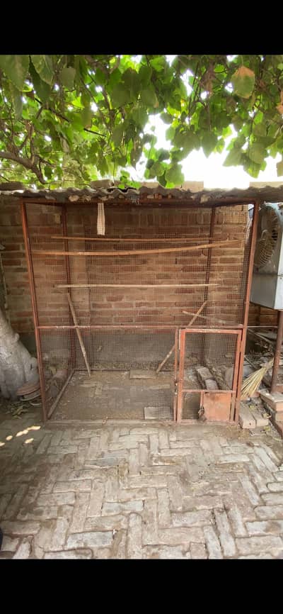 Colony cages for sale, heavy weight iron cage