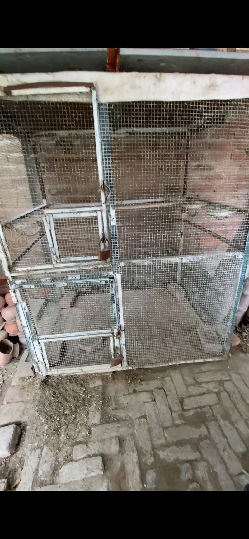Colony cages for sale, heavy weight iron cage — photo 2