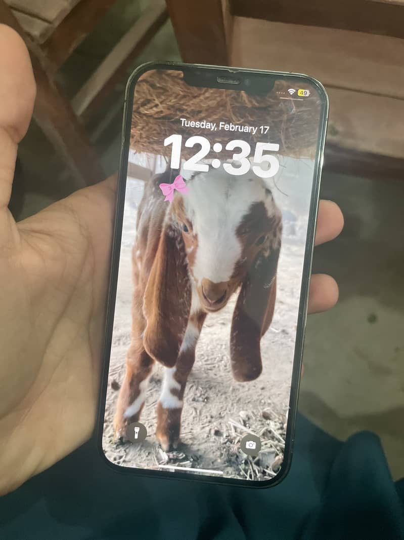 Apple iPhone 12 Pro Max 1