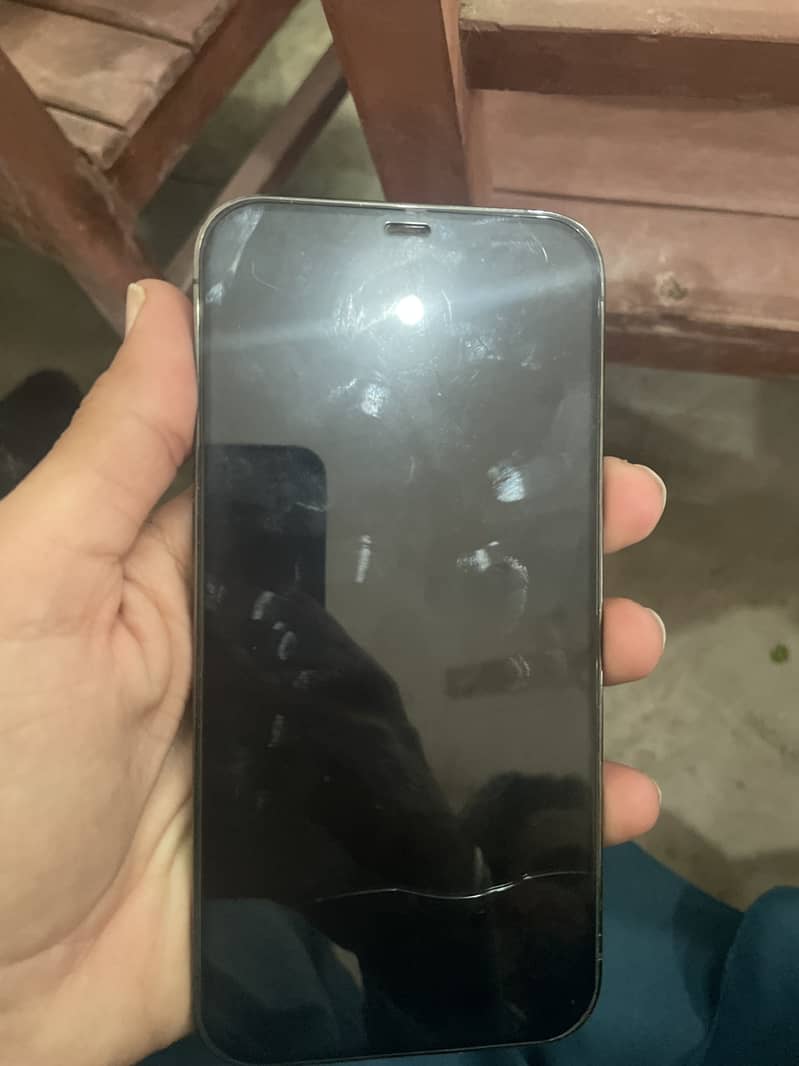 Apple iPhone 12 Pro Max 3