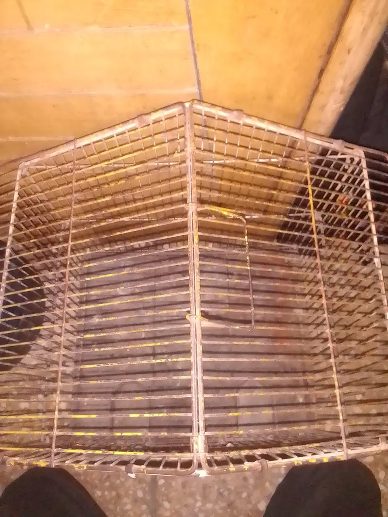 IRON PARROT CAGE — photo 2