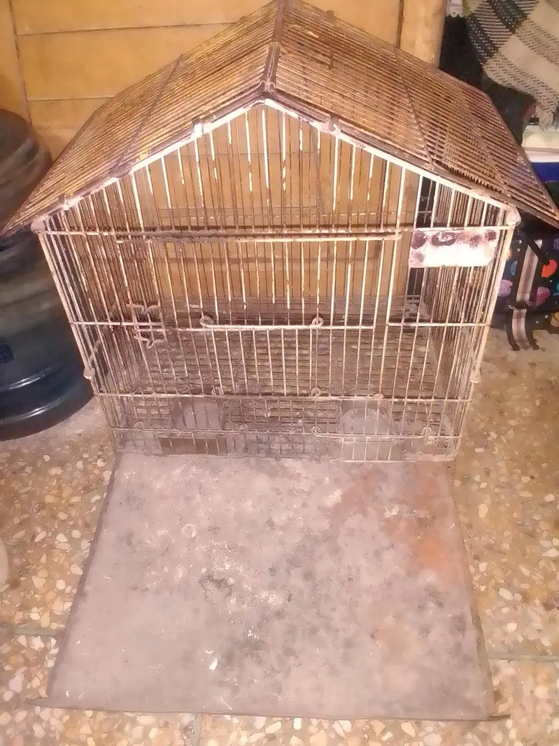 IRON PARROT CAGE — photo 3