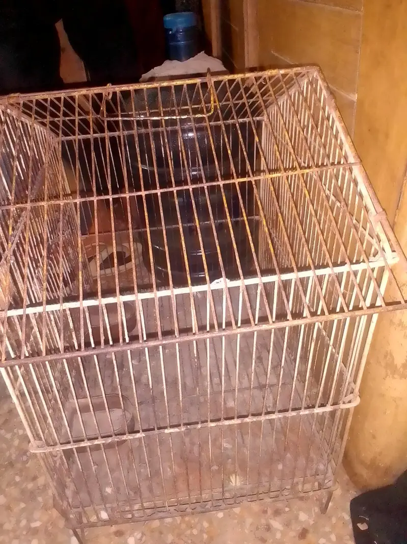 IRON PARROT CAGE — photo 5