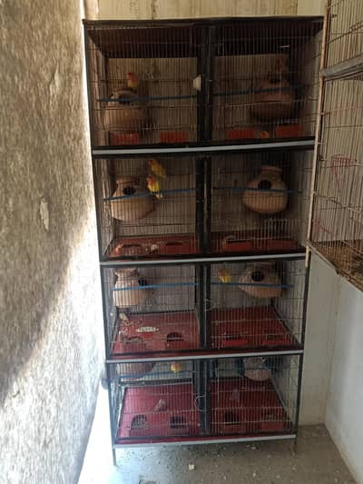8 portion cage