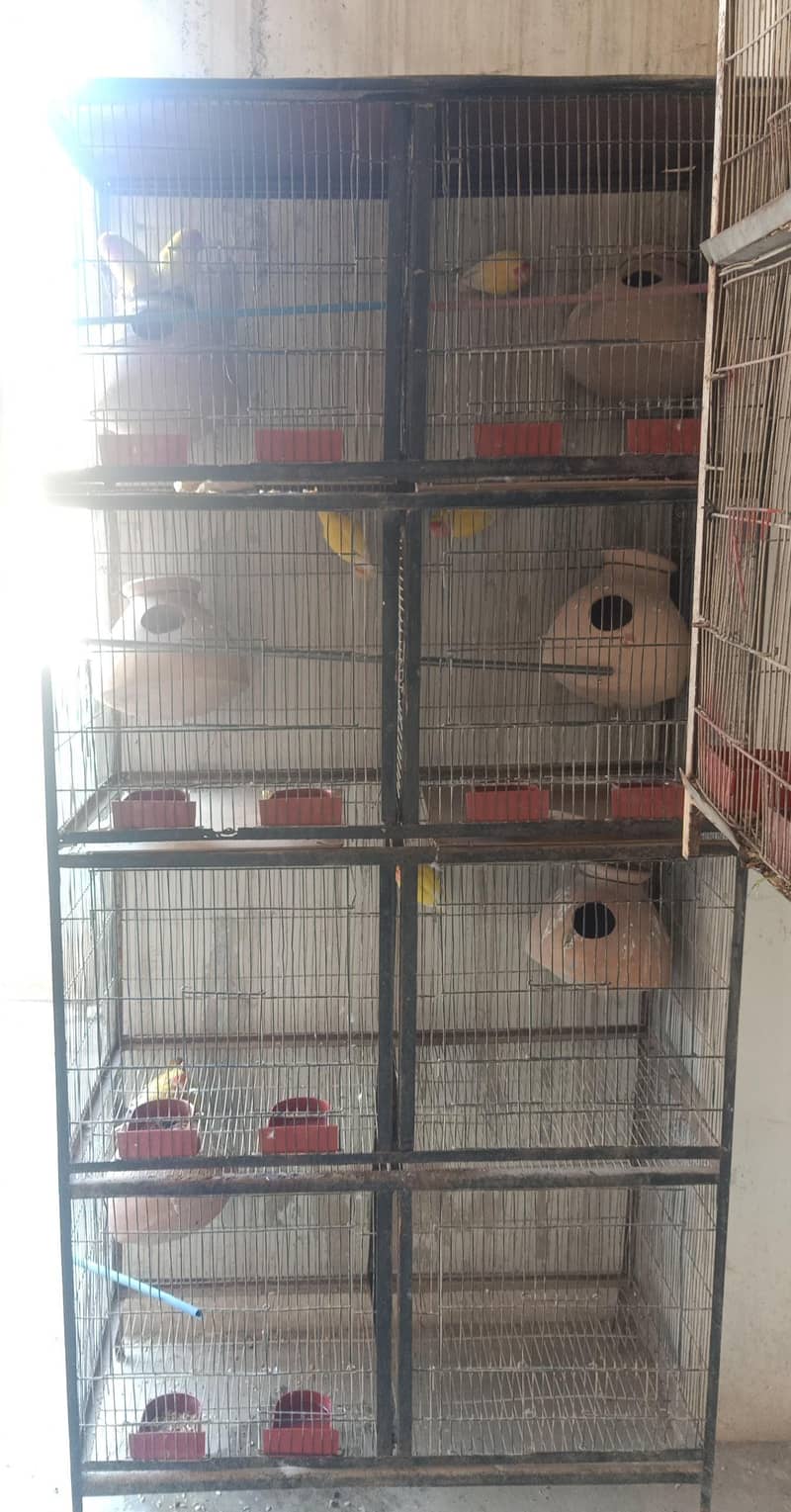 8 portion cage 1