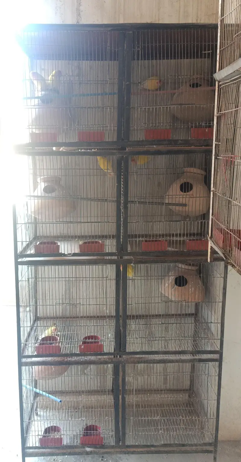 8 portion cage — photo 2