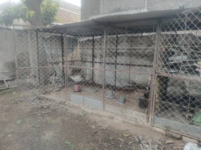 Dogs & Hens Cage for sale.