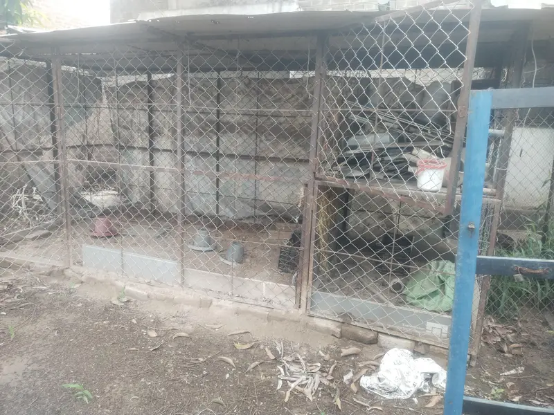 Dogs & Hens Cage for sale. — photo 2
