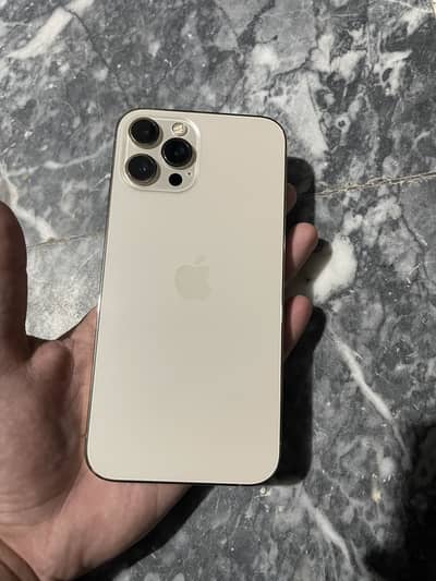 Apple iPhone 12 Pro Max