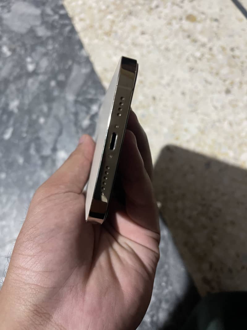 Apple iPhone 12 Pro Max 1