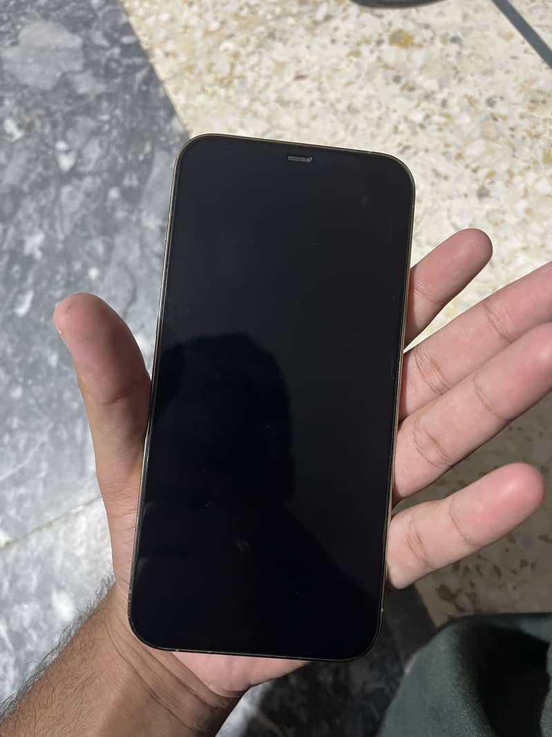 Apple iPhone 12 Pro Max 2