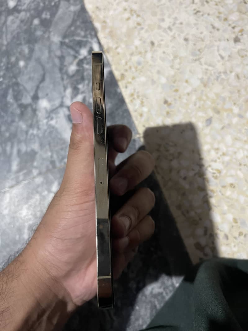 Apple iPhone 12 Pro Max 5