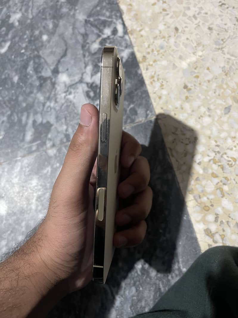 Apple iPhone 12 Pro Max 6