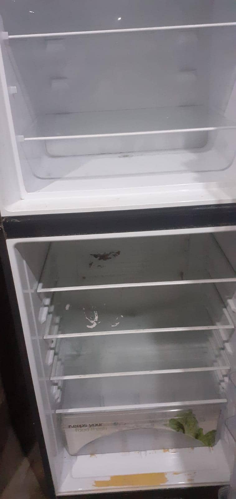 Fridge large size 0