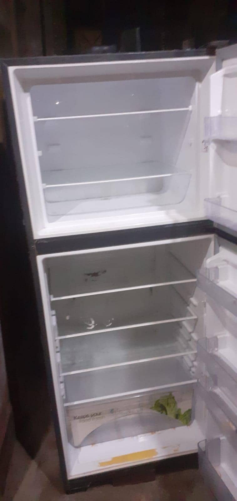 Fridge large size 1