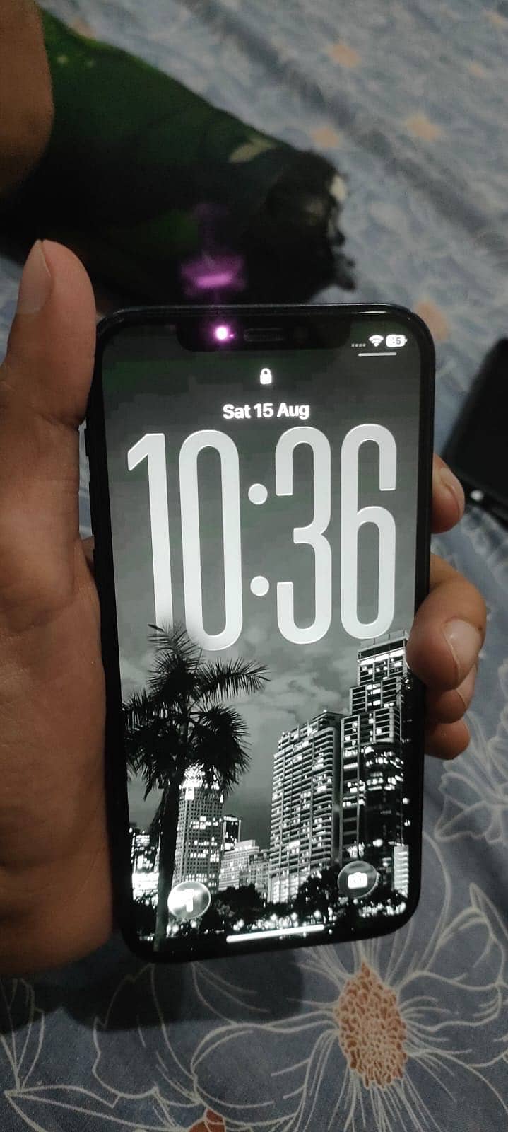 Apple iPhone 12 1