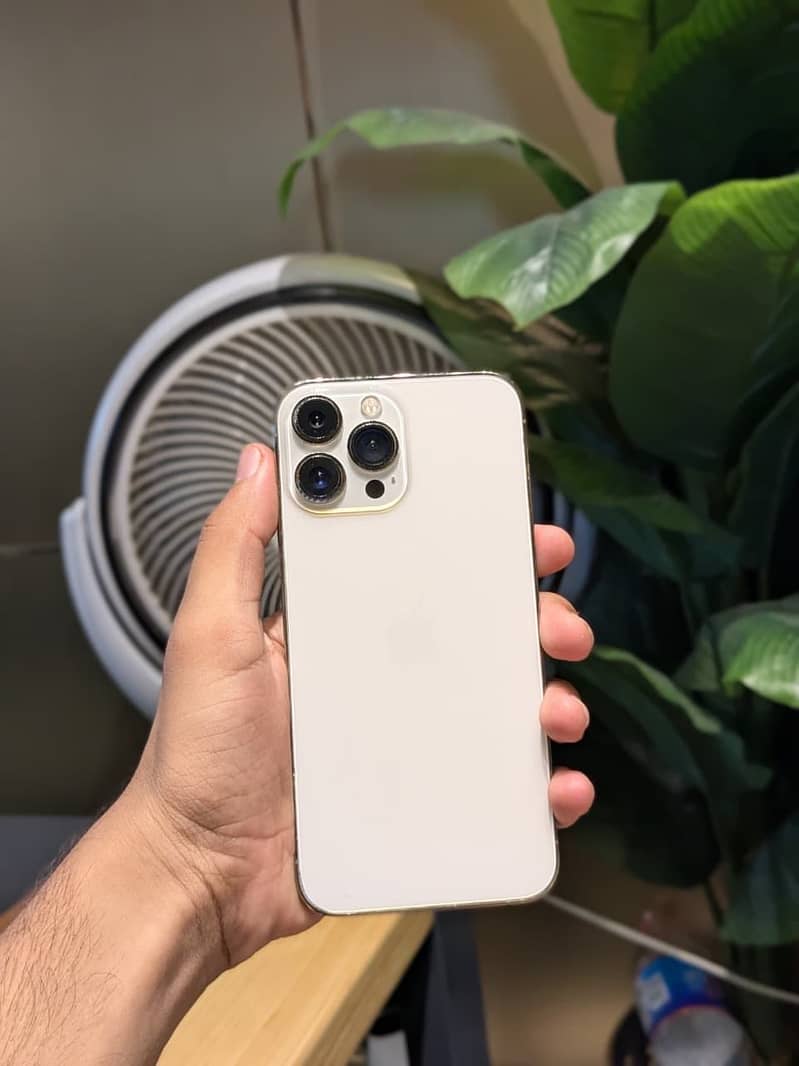 Apple iPhone 13 Pro Max 1