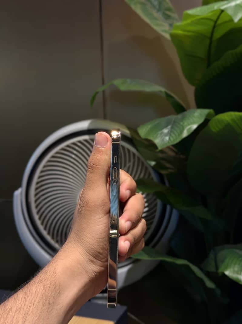 Apple iPhone 13 Pro Max 3