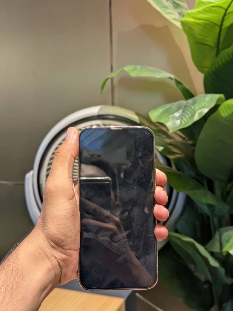 Apple iPhone 13 Pro Max 4