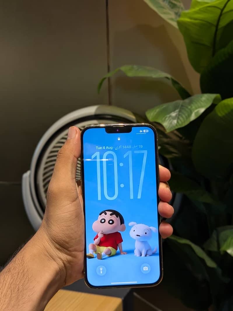 Apple iPhone 13 Pro Max 5