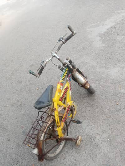 Kids cycle to sell