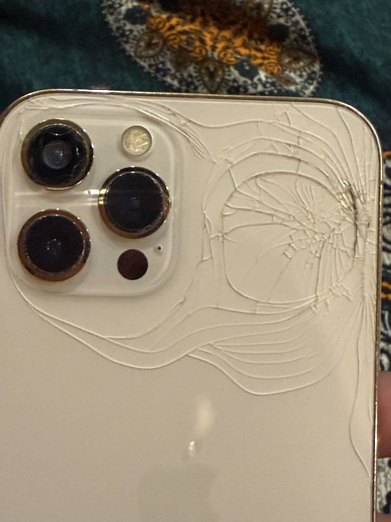 Apple iPhone 12 Pro Max 2