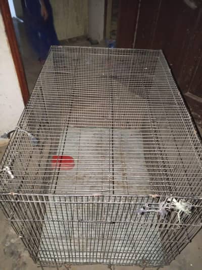 large size cages