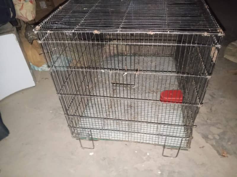 large size cages 1