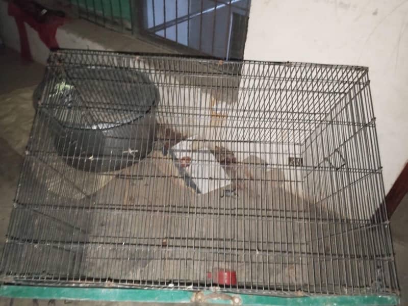 large size cages 3