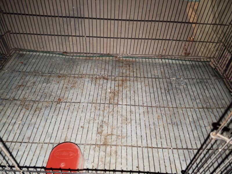 large size cages 4