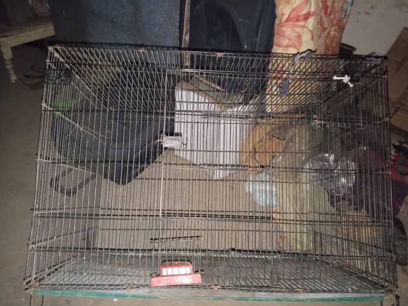large size cages 5
